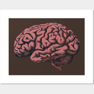 Brain Posters and Art